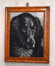 Image result for Antique Black Dog Painting