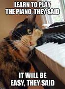 Image result for Meme Piano Enjoying