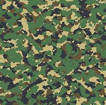 Image result for iPhone 12 Hard Case Camo