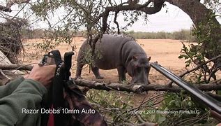 Image result for 10Mm Hunting