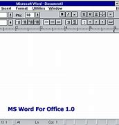 Image result for The First Microsoft Office Edition