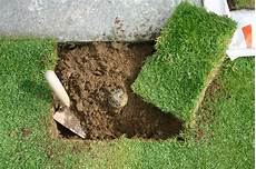 tappeto erboso in rotoli sostituire un irrigatore senza danneggiare il prato tappeto erboso in rotoli sostituire un irrigatore senza danneggiare il prato
