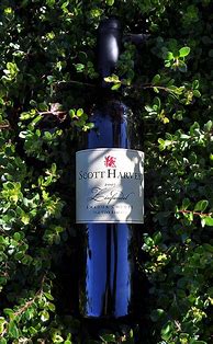Image result for Scott Harvey Zinfandel Old Vine Reserve