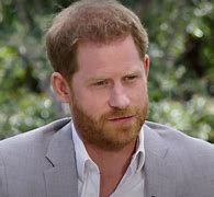 Image result for Prince Harry Oprah Daily Mail