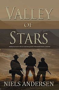 Image result for Book Valley of Stars