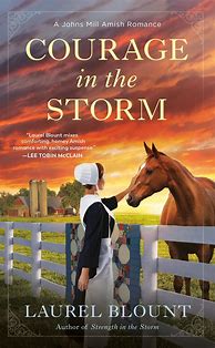 Image result for A Johns Mill Amish Romance
