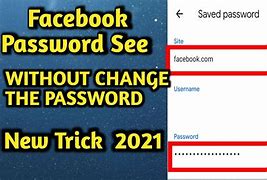 Image result for How to Check Your Facebook Password