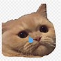 Image result for Cute Crying Meme Emoji
