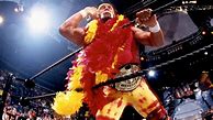 Image result for Hulk Hogan Boa