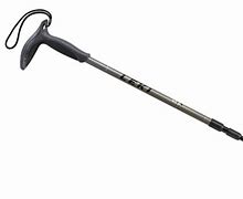 Image result for Best Telescoping Walking Stick