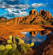 Image result for Arizona Nature