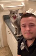 Image result for Cursed Cat Pictures