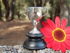 Image result for Small Trophy