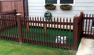 Image result for Dog Backyard Fence Ideas