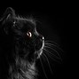 Image result for Simple Cute Black Backgrounds