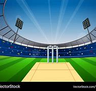 Image result for 2D Cricket Field
