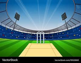 Image result for Cricket Pitch Vector