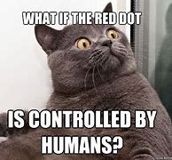 Image result for Red Dot Cat Meme