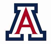 Image result for UA University Arizona Logo