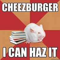 Image result for Cheezburger Science