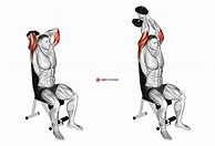 Image result for Dumbell Arm Exersise