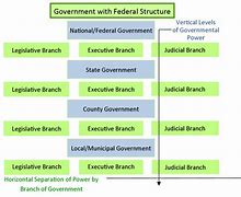 Image result for National State and Local Government