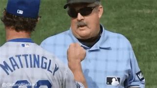 Image result for Funny Manager Ejected by Umpire Cartoon