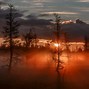 Image result for Twilight Breaking Dawn Seaside Nature Images