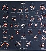Image result for Number One Martial Art in the World