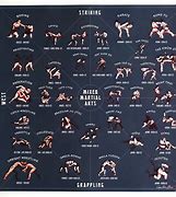 Image result for 10 Types of Martial Arts