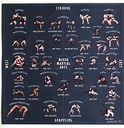Image result for Martial Arts Tyoes