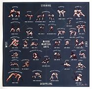 Image result for MMA Fighting Style