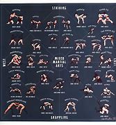 Image result for types of martial arts list