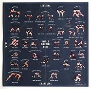 Image result for All Martial Arts Styles