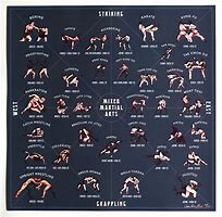 Image result for List of Fighting Styles
