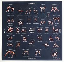 Image result for martial arts styles