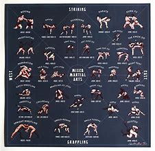 Image result for Types of Fighting Styles