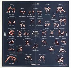 Image result for Mixed Martial Arts Types