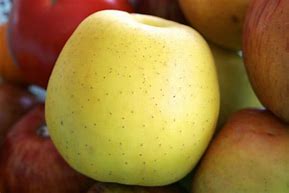 Image result for Apple Fruit Jpg Image