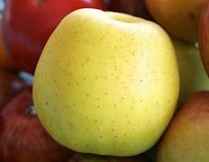 Image result for Apple wikipedia