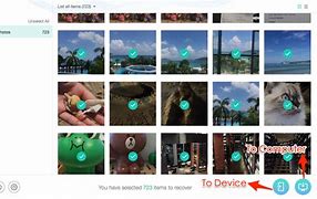 Image result for Camera Roll Pictures Missing