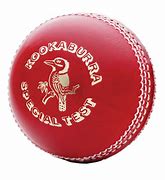 Image result for Cricket Printer