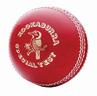 Image result for Cricket Ball Silhouette