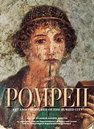 Image result for Books on Pompeii History