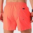 Image result for Beach Quiksilver Shorts