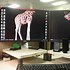 Image result for Funny Office Desktop