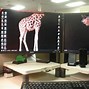 Image result for Funny 2 Monitor Wallpapers