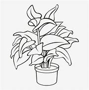Image result for House Plant Clip Art Black and White