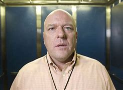 Image result for Breaking Bad Hank Schrader