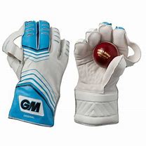 Image result for Vintage Wicketkeeper Gloves